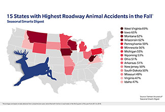 Farmers Insurance Animal Accidents Infographic