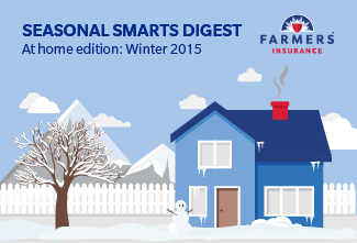 2015 winter at home cover