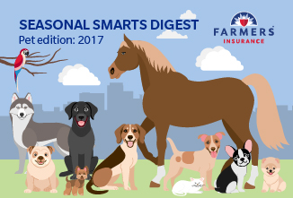 2017 seasonal smarts pet edition