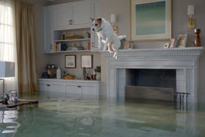 Small dog mid-air above flooded living room